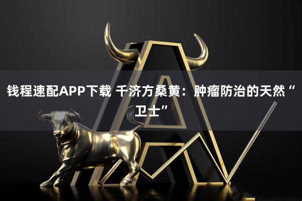 钱程速配APP下载 千济方桑黄:肿瘤防治的天然“卫士”