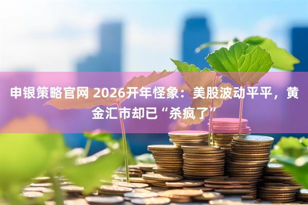 申银策略官网 2026开年怪象：美股波动平平，黄金汇市却已“杀疯了”